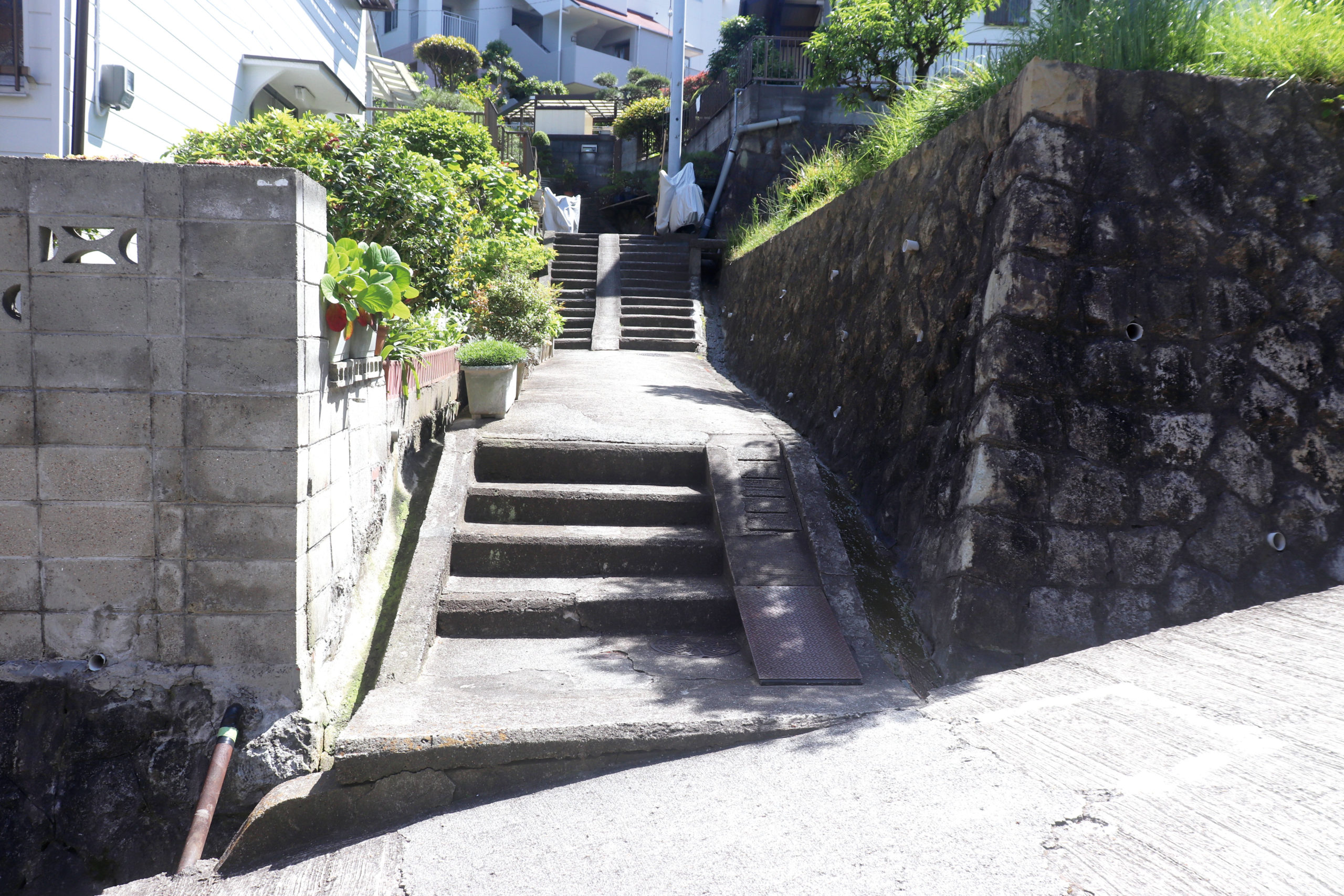 森本アリのよりぬき坂段