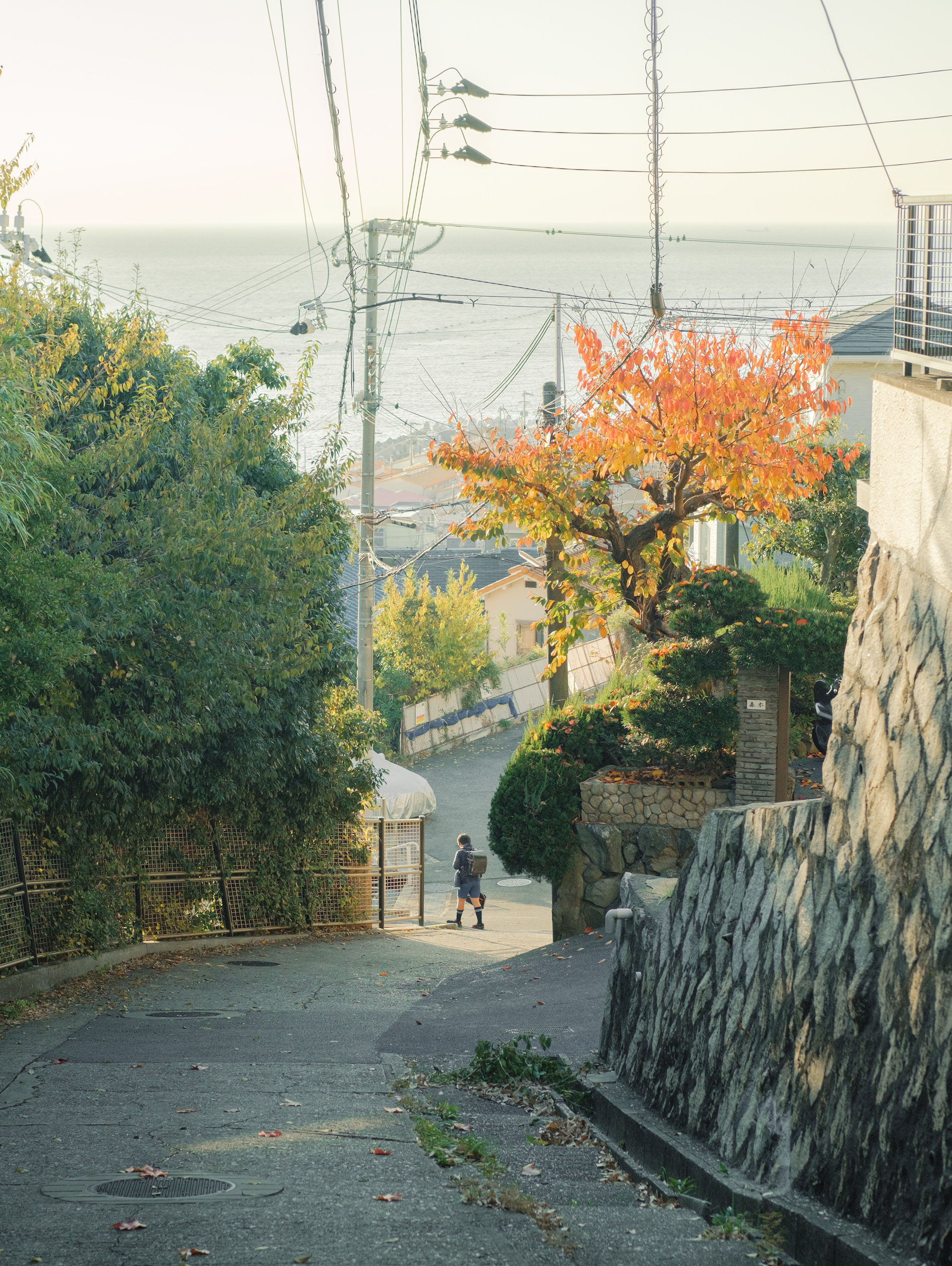 鼻﨑佑の塩屋坂写真